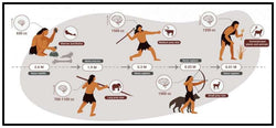 Were Humans Ever Apex Predators?