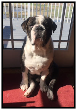 Our Best Customer