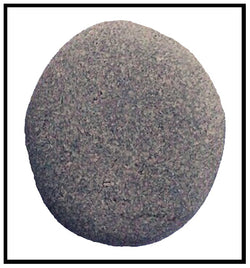 The Modern-Day Pet Rock
