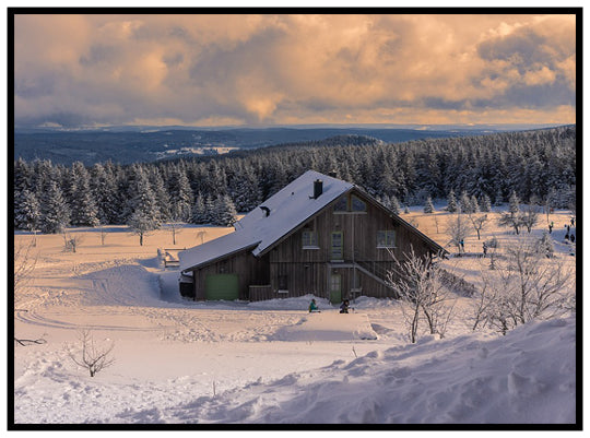 Global Warming for Christmas