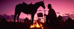 Cooking Pastured Poultry