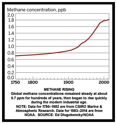 You’ve Been Lied to: Methane & Cows
