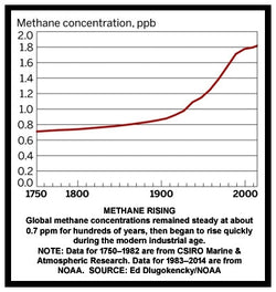 You’ve Been Lied to: Methane & Cows