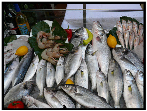 Promoting Omega-3, but Not the Ratio of Omega-6 to Omega-3