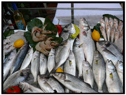 Promoting Omega-3, but Not the Ratio of Omega-6 to Omega-3