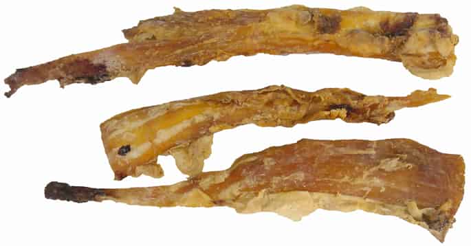 Buffalo Tendon Dog Chews